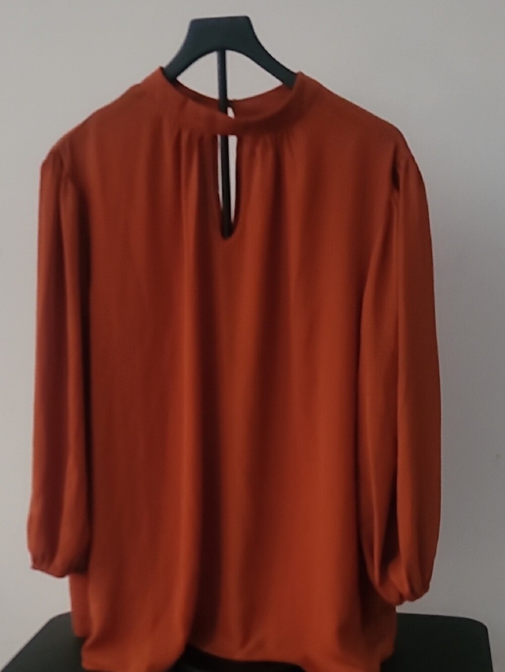 Ashley Stewart Rust Orange Keyhole Long-Sleeve Blouse
